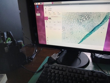 Microscope in use